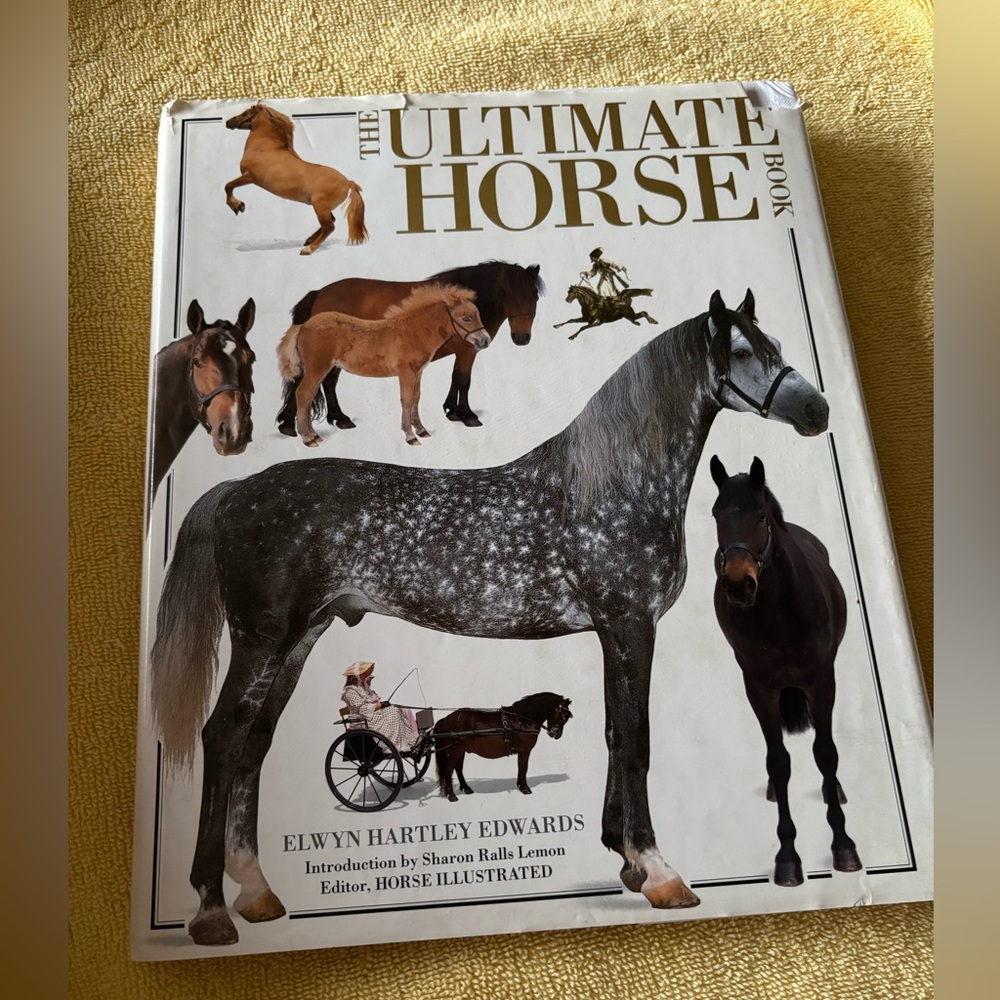 The ultimate Horse book